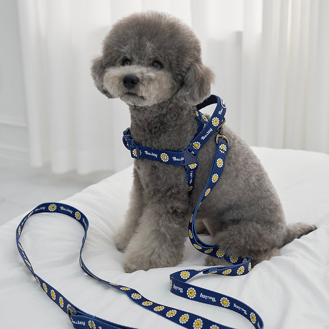 ※予約販売【Bailey】Daisy Walkie Leash（4color）