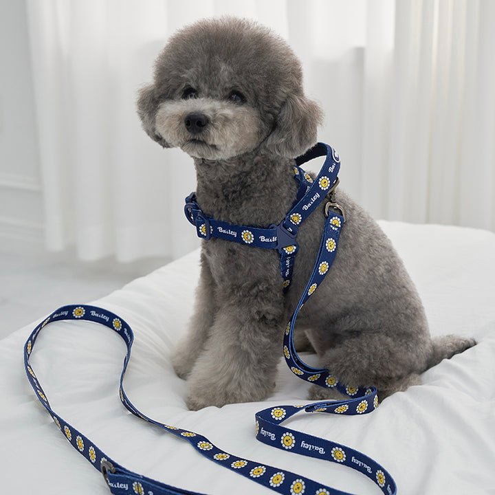 ※予約販売【Bailey】Daisy Walkie Leash（4color）