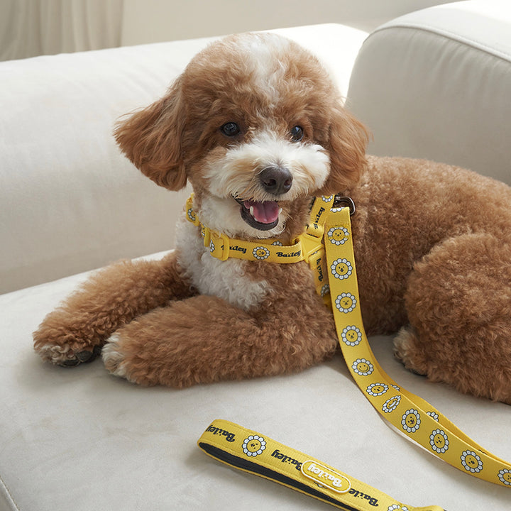 ※予約販売【Bailey】Daisy Walkie Leash（4color）