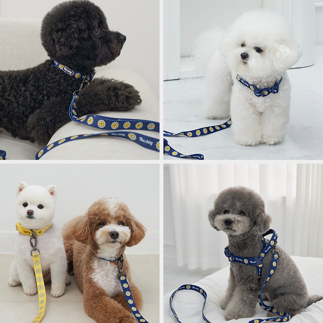 ※予約販売【Bailey】Hands Free Leash（7color）