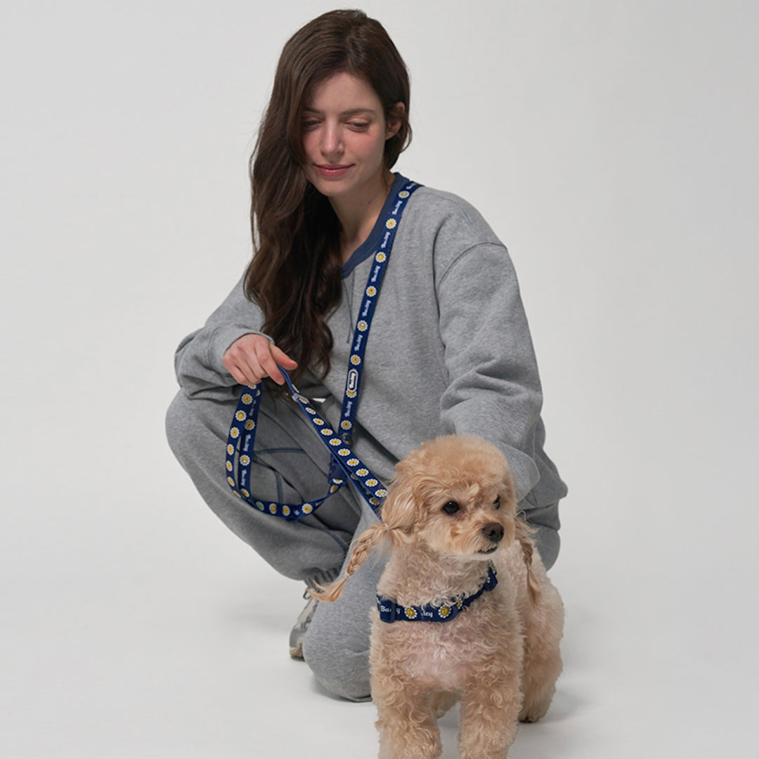 ※予約販売【Bailey】Hands Free Leash（7color）