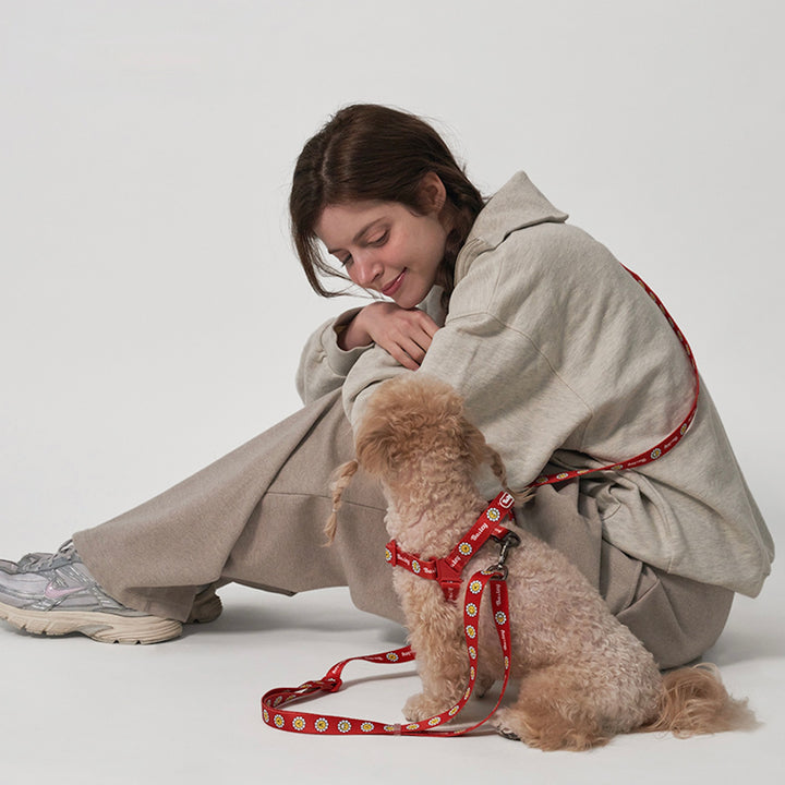 ※予約販売【Bailey】Hands Free Leash（7color）