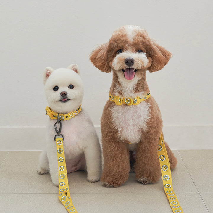 ※予約販売【Bailey】Hands Free Leash（7color）