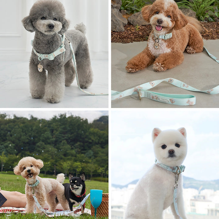 ※予約販売【Bailey】Hands Free Leash（7color）