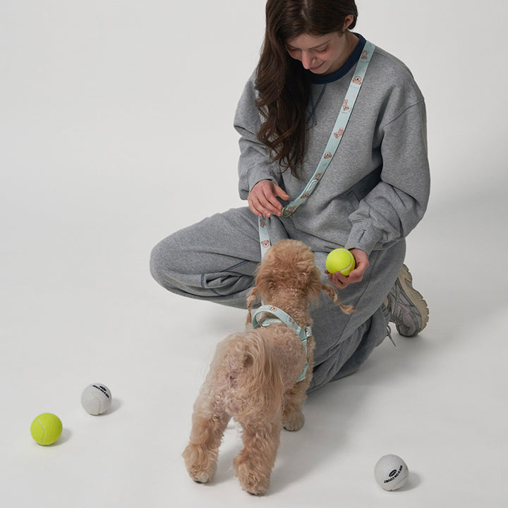 ※予約販売【Bailey】Hands Free Leash（7color）