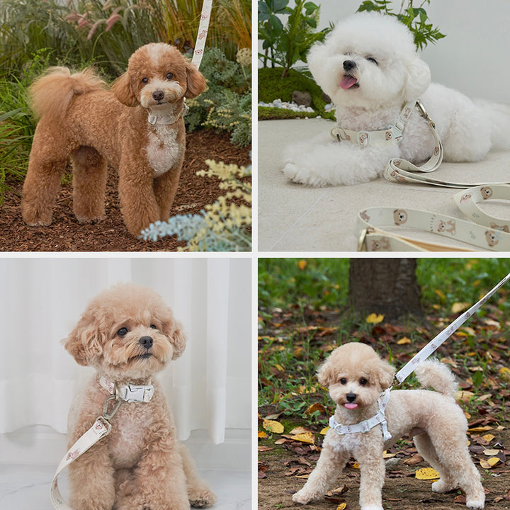 ※予約販売【Bailey】Hands Free Leash（7color）