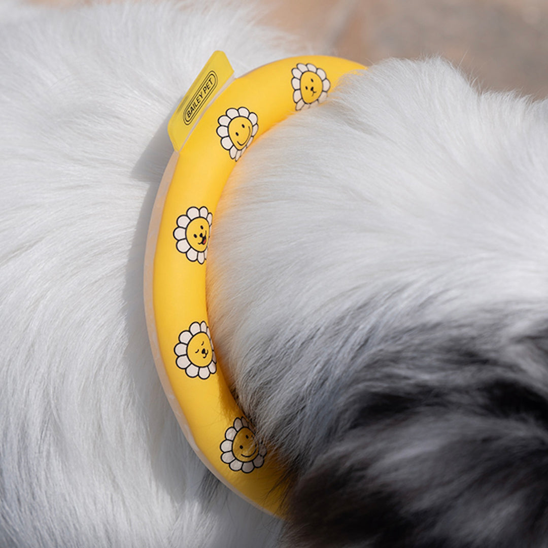 ※予約販売【Bailey】Ice Neck Cooler（2color）