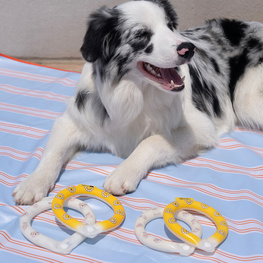 ※予約販売【Bailey】Ice Neck Cooler（2color）