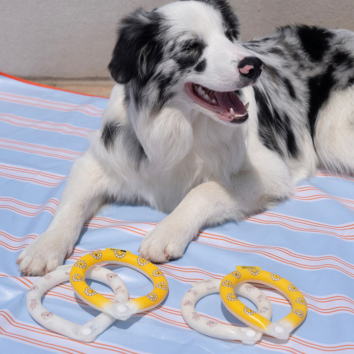 ※予約販売【Bailey】Ice Neck Cooler（2color）