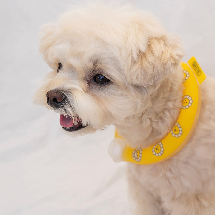 ※予約販売【Bailey】Ice Neck Cooler（2color）