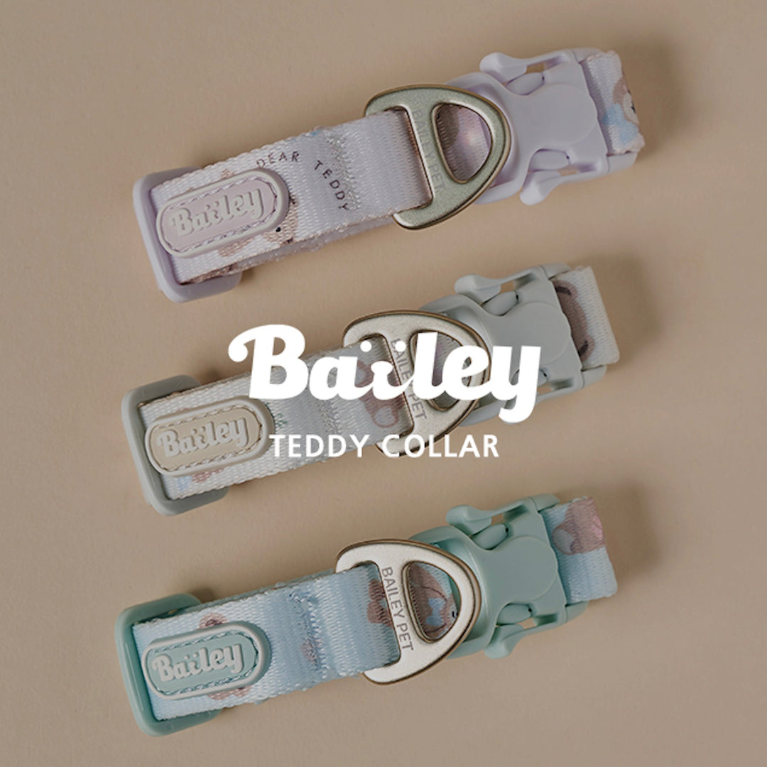 ※予約販売【Bailey】Teddy Walkie Collar（3color）