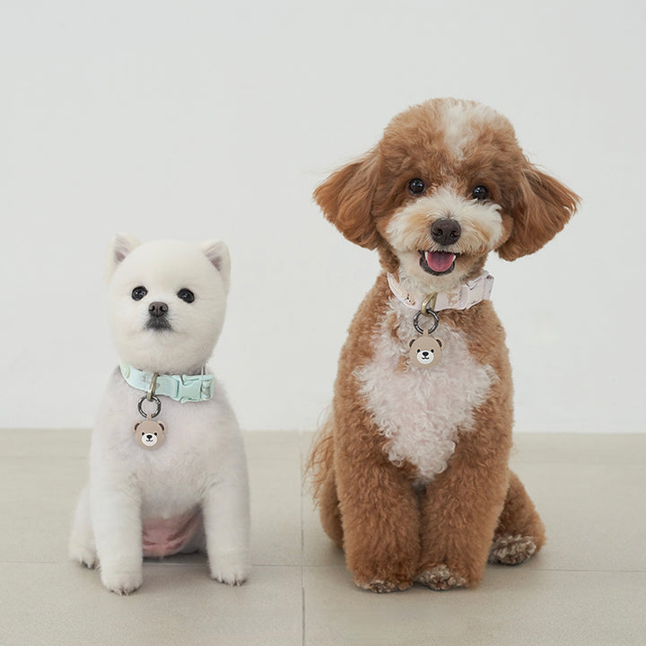 ※予約販売【Bailey】Teddy Walkie Collar（3color）