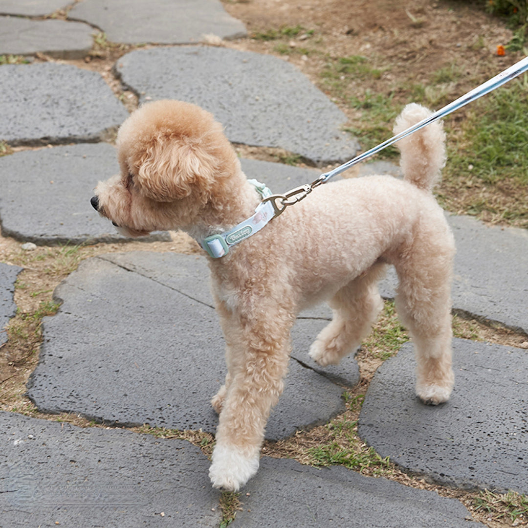 ※予約販売【Bailey】Teddy Walkie Collar（3color）