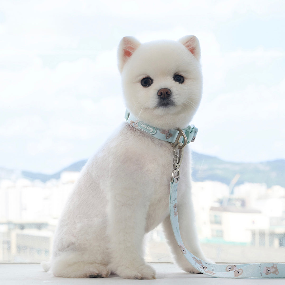 ※予約販売【Bailey】Teddy Walkie Collar（3color）