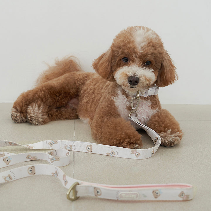 ※予約販売【Bailey】Teddy Walkie Collar（3color）