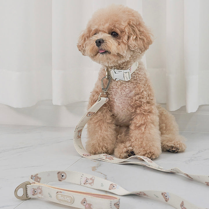 ※予約販売【Bailey】Teddy Walkie Collar（3color）