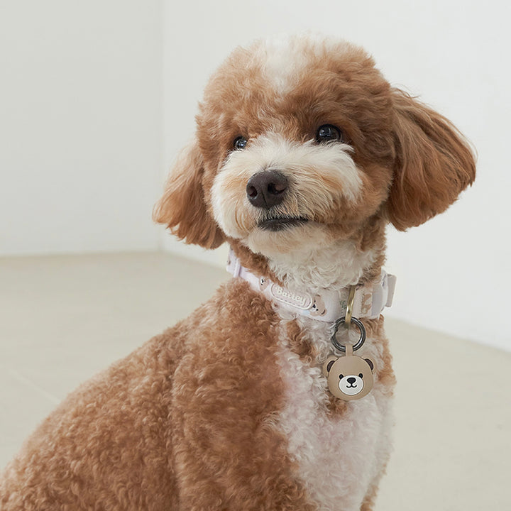 ※予約販売【Bailey】Teddy Walkie Collar（3color）