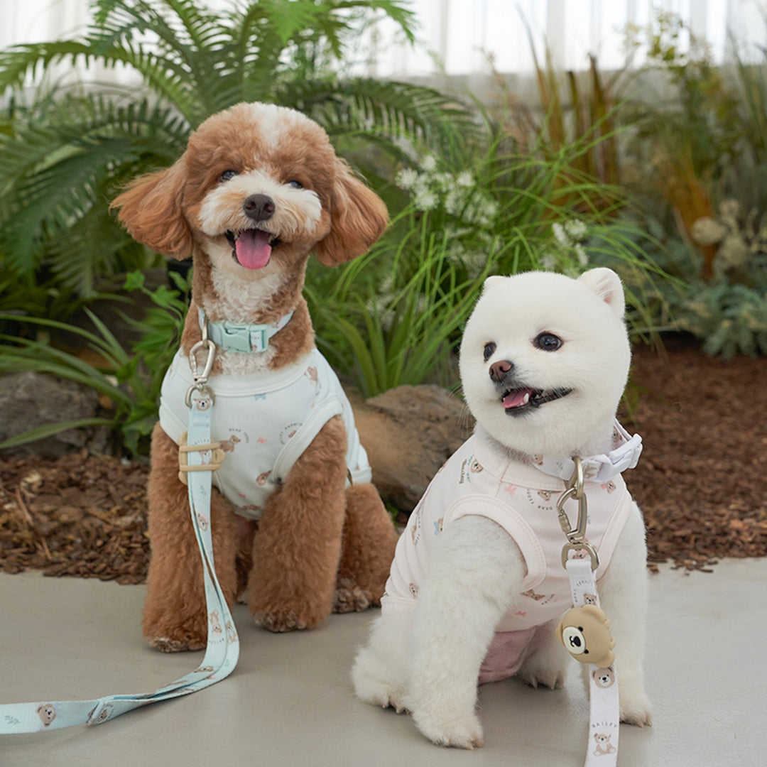 ※予約販売【Bailey】Teddy Walkie Collar（3color）