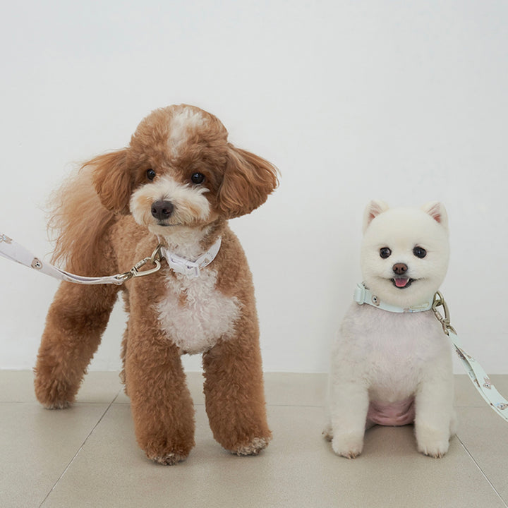 ※予約販売【Bailey】Teddy Walkie Collar（3color）