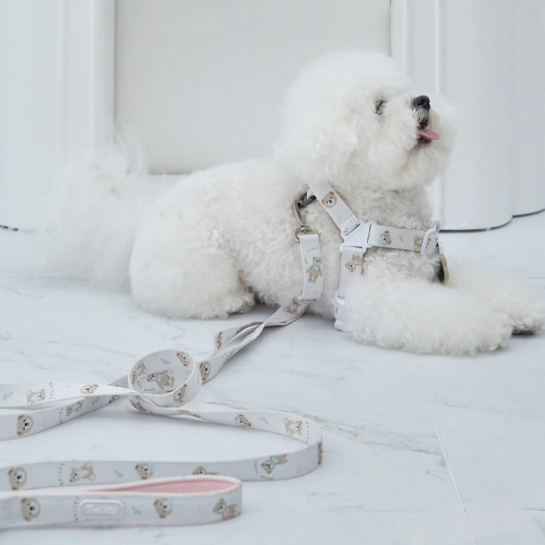 ※予約販売【Bailey】Teddy Walkie Harness（3color）