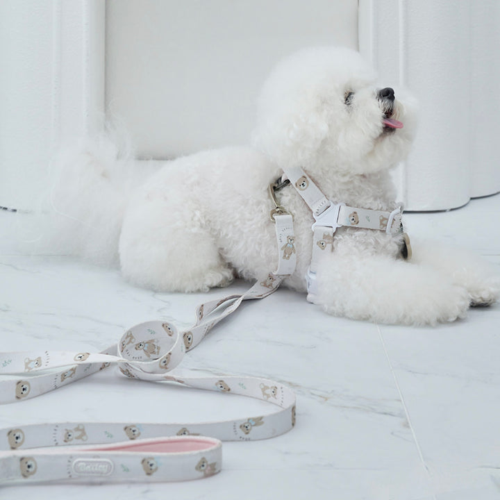 ※予約販売【Bailey】Teddy Walkie Harness（3color）