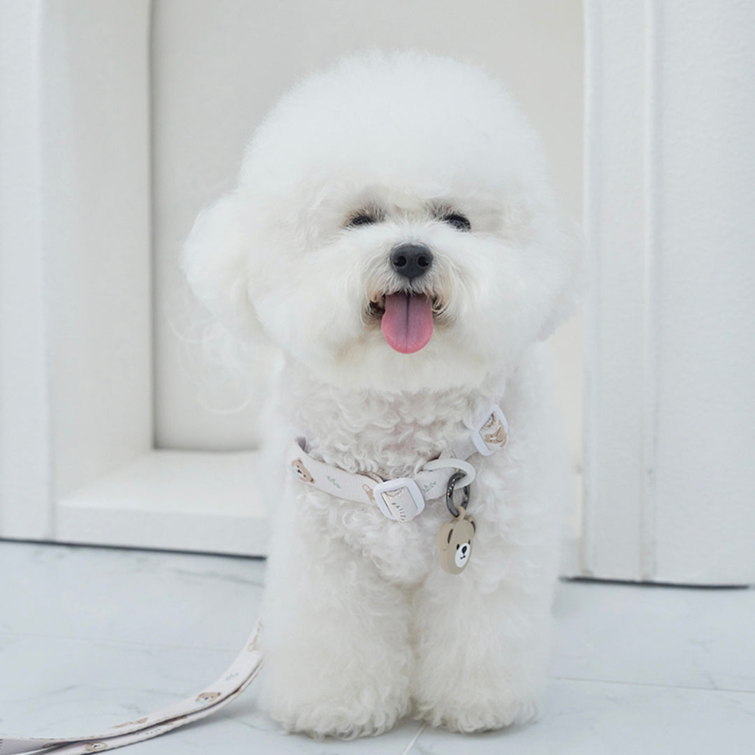 ※予約販売【Bailey】Teddy Walkie Harness（3color）