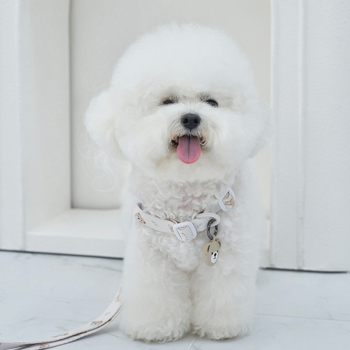 ※予約販売【Bailey】Teddy Walkie Harness（3color）