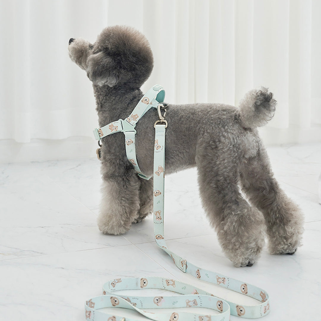 ※予約販売【Bailey】Teddy Walkie Harness（3color）