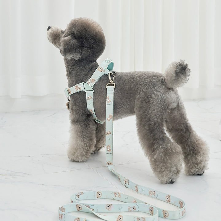 ※予約販売【Bailey】Teddy Walkie Harness（3color）