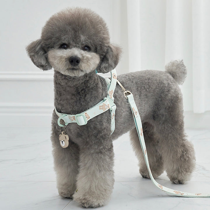 ※予約販売【Bailey】Teddy Walkie Harness（3color）
