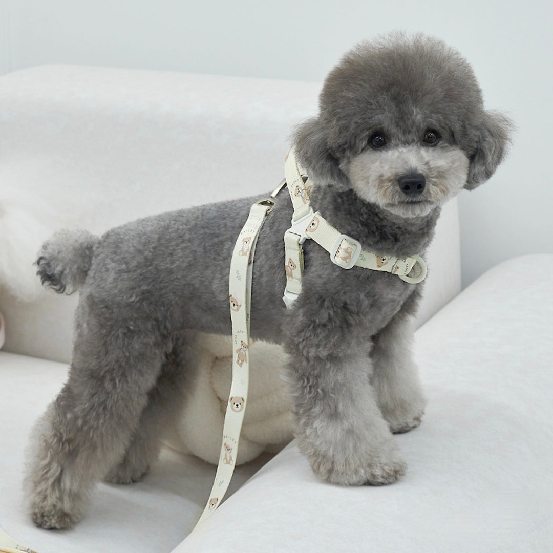 ※予約販売【Bailey】Teddy Walkie Harness（3color）