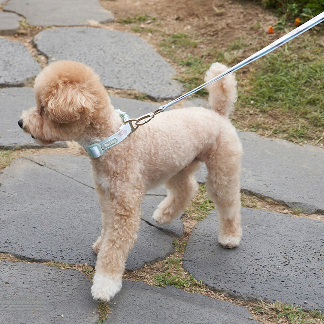 ※予約販売【Bailey】Teddy Walkie Leash（3color）