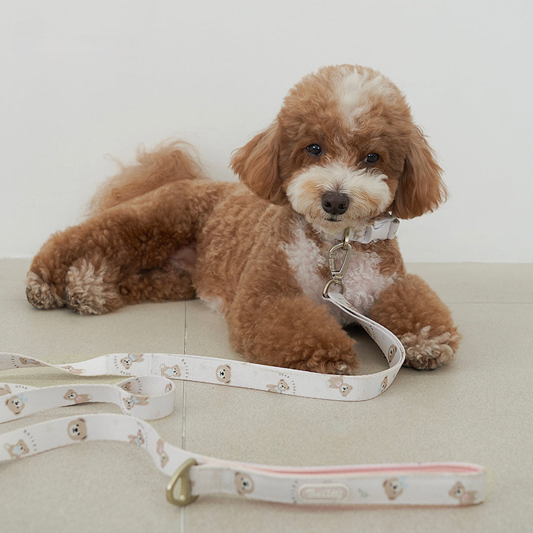 ※予約販売【Bailey】Teddy Walkie Leash（3color）