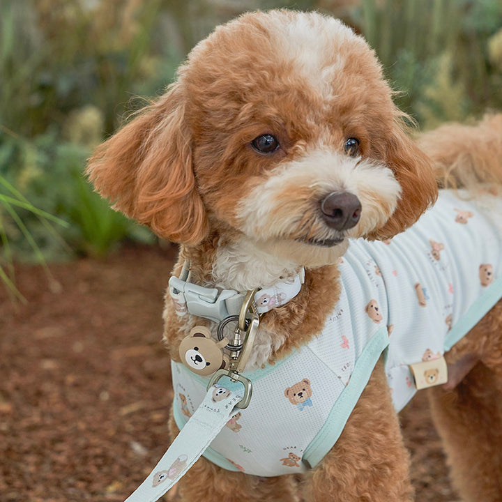 ※予約販売【Bailey】Teddy Walkie Leash（3color）