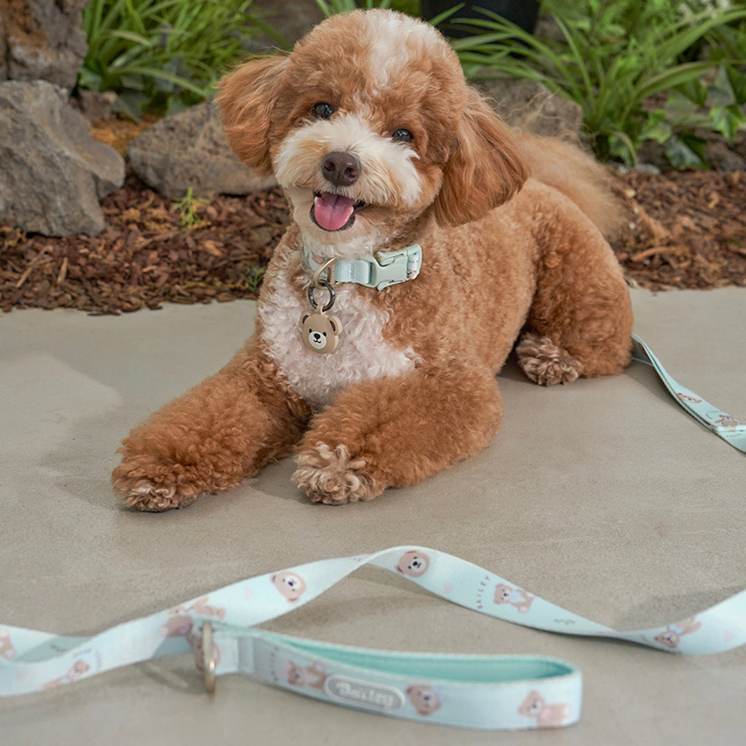 ※予約販売【Bailey】Teddy Walkie Leash（3color）