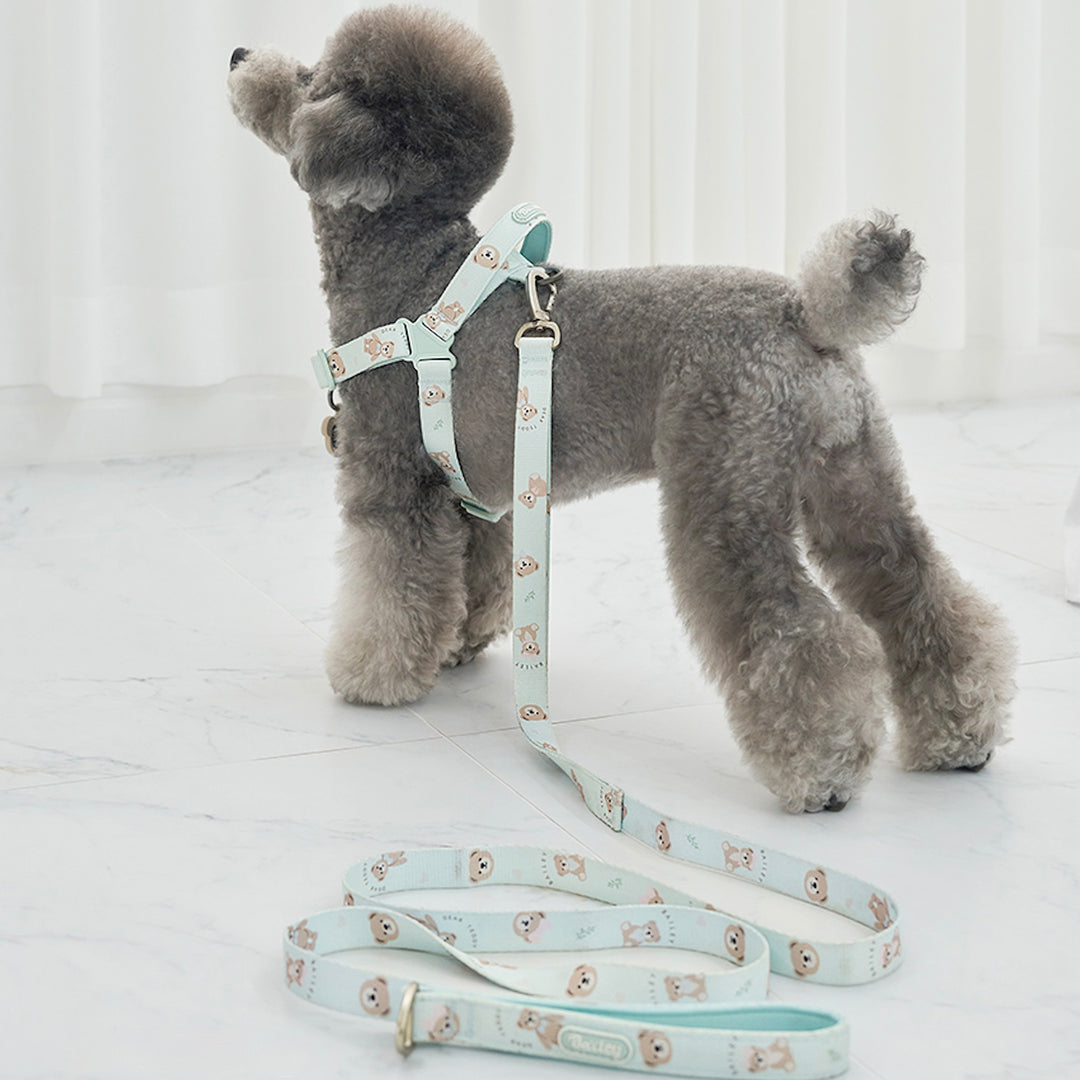 ※予約販売【Bailey】Teddy Walkie Leash（3color）