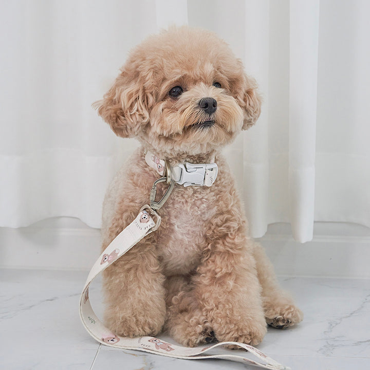 ※予約販売【Bailey】Teddy Walkie Leash（3color）