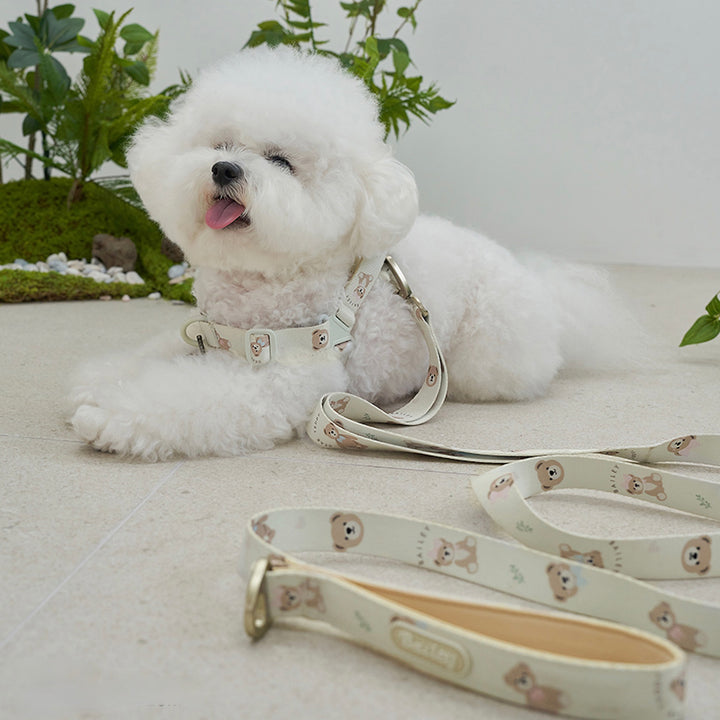 ※予約販売【Bailey】Teddy Walkie Leash（3color）