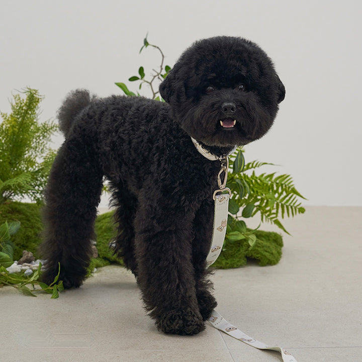 ※予約販売【Bailey】Teddy Walkie Leash（3color）