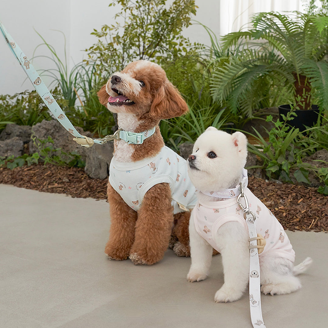 ※予約販売【Bailey】Teddy Walkie Leash（3color）
