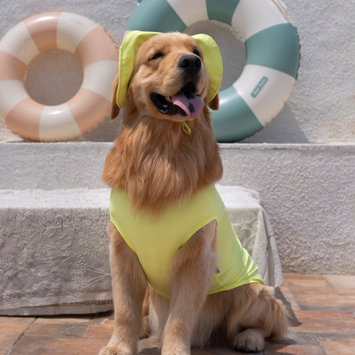 ※予約販売【Bailey】UV Cooling Cap（3color）