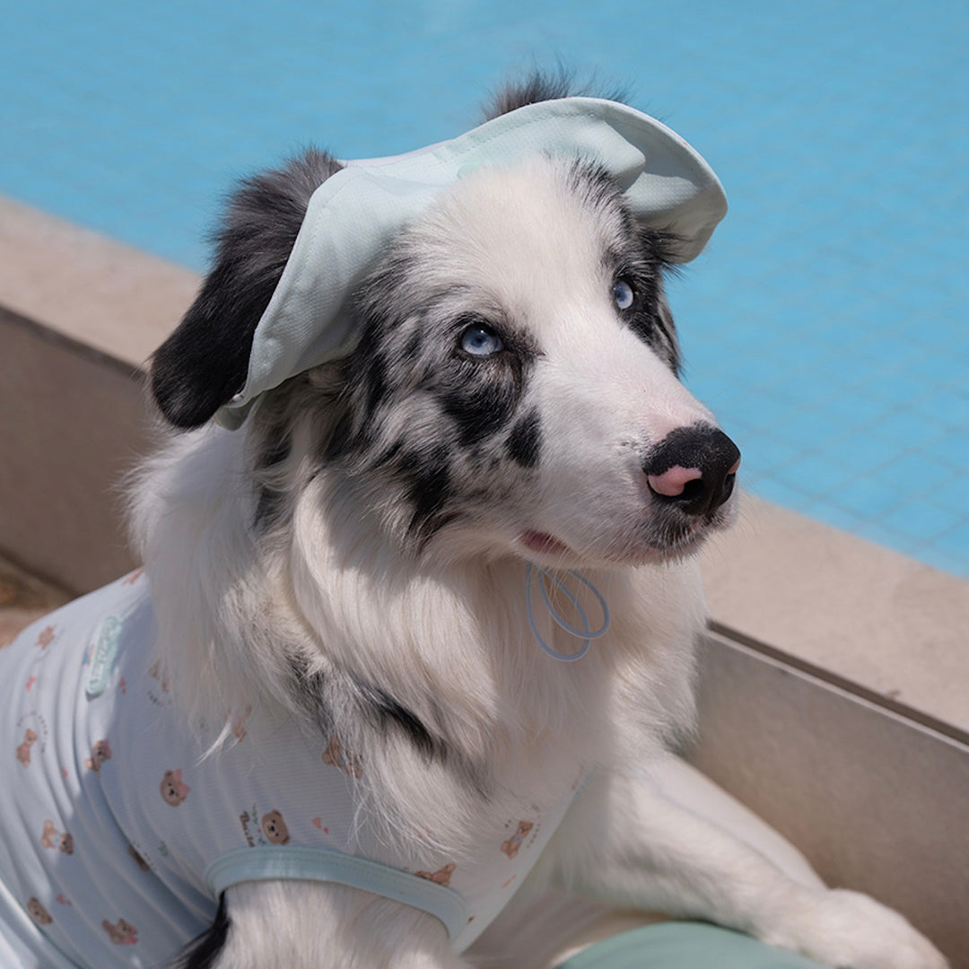※予約販売【Bailey】Cooling Teddy Cap（3color）