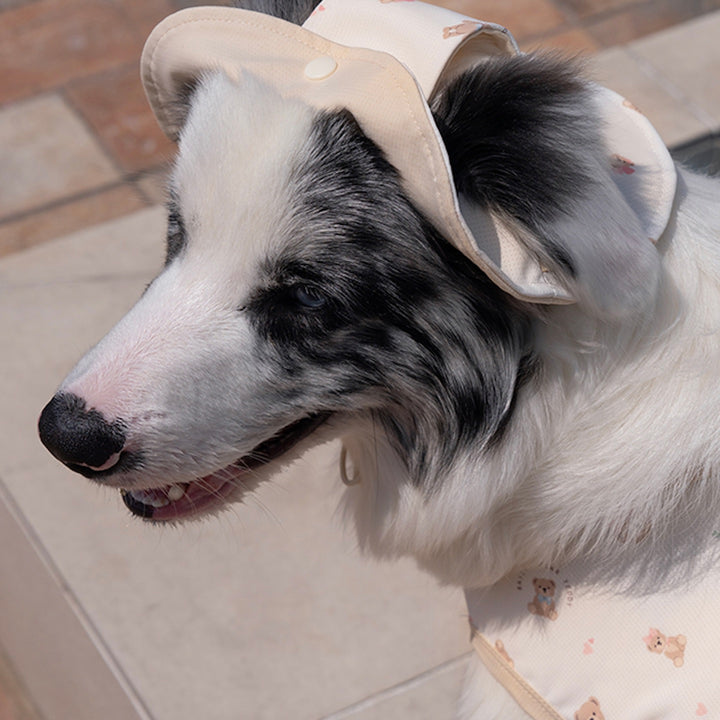 ※予約販売【Bailey】Cooling Teddy Cap（3color）