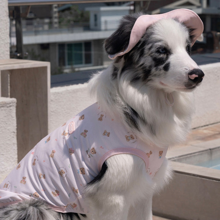 ※予約販売【Bailey】Cooling Teddy Cap（3color）