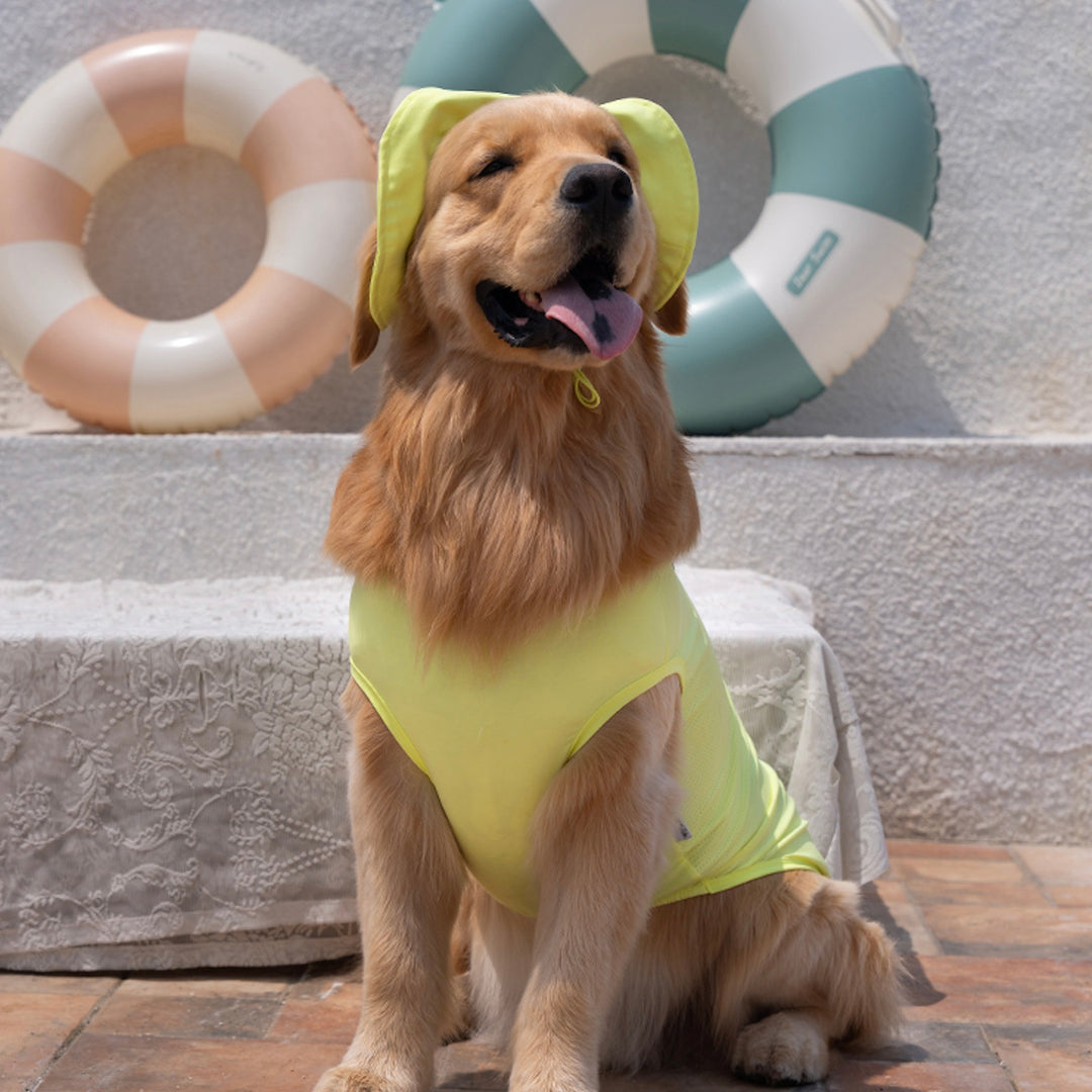 ※予約販売【Bailey】UV Cool Guard Sleveless（Lime）
