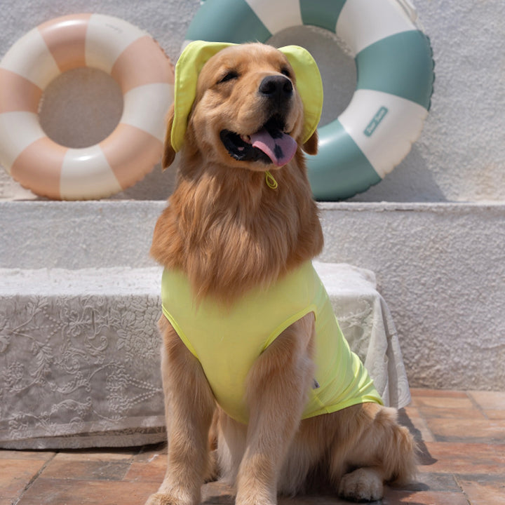 ※予約販売【Bailey】UV Cool Guard Sleveless（Lime）