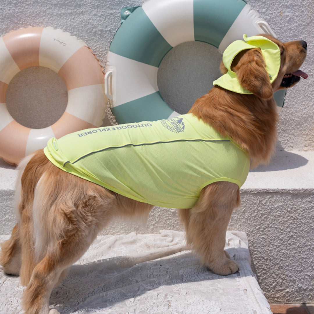 ※予約販売【Bailey】UV Cool Guard Sleveless（Lime）