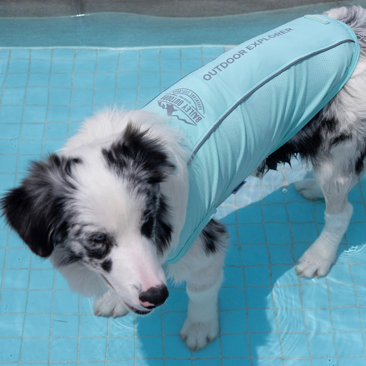 ※予約販売【Bailey】UV Cool Guard Sleveless（Mint）