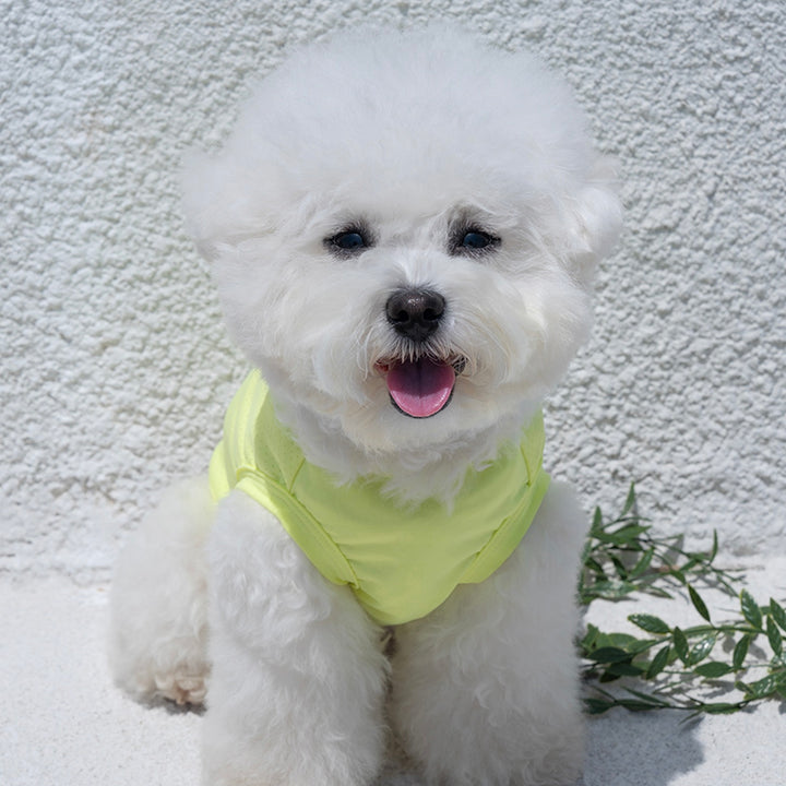 ※予約販売【Bailey】UV Cool Guard Sleveless（Lime）
