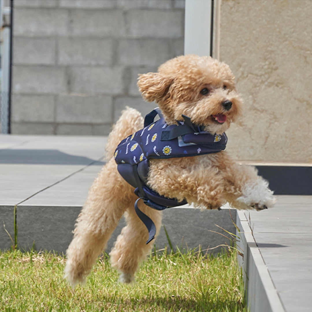 ※予約販売【Bailey】Daisy Life Jacket（4color）